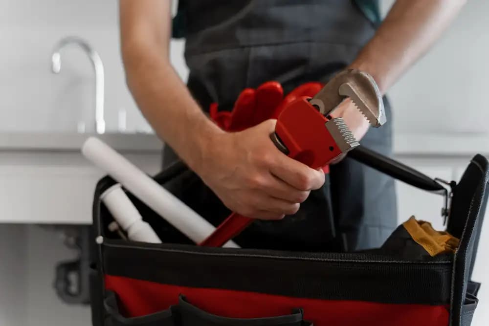 Service professionnel